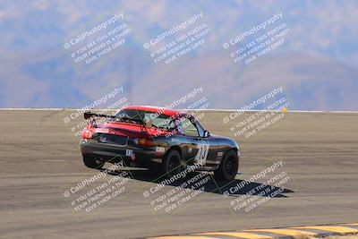 media/Oct-14-2023-Lucky Dog Racing (Sat) [[cef75db616]]/Turn 12 Exit-Bowl Backside (230pm)/